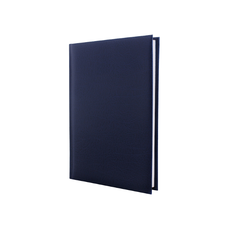 Щоденник ECONOMIX (E21715-02)